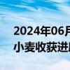 2024年06月06日快讯 农业农村部：全国冬小麦收获进度过半