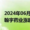 2024年06月07日快讯 减肥药概念午后活跃，翰宇药业涨超10%