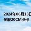 2024年06月13日快讯 科创板次新股持续拉升，艾森股份等多股20CM涨停