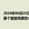 2024年06月25日快讯 国际电工委员会发布我国牵头完成的首个智能传感技术白皮书