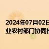 2024年07月02日快讯 农业农村部大数据中心：将与地方农业农村部门协同推广应用公共平台基座和全农码