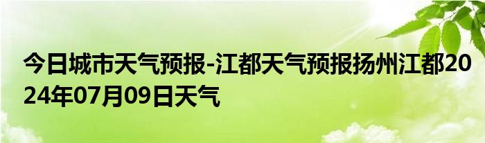 今日城市天气预报