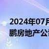 2024年07月31日快讯 小鹏汽车旗下肇庆鲲鹏房地产公司注销