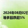 2024年08月02日快讯 智能驾驶概念股震荡下挫，金溢科技等多股跌超5%