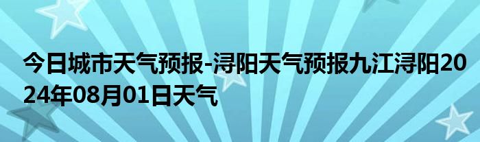 今日城市天气预报