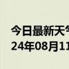 今日最新天气情况-荔湾天气预报广州荔湾2024年08月11日天气