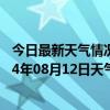 今日最新天气情况-和布克赛尔天气预报塔城和布克赛尔2024年08月12日天气