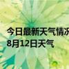 今日最新天气情况-新右旗天气预报呼伦贝尔新右旗2024年08月12日天气