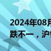 2024年08月13日快讯 国内期货夜盘开盘涨跌不一，沪银跌0.53%