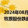 2024年08月21日快讯 猪肉股午后继续下探，牧原股份跌超3%