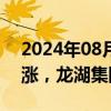 2024年08月26日快讯 港股房地产股多数上涨，龙湖集团涨超5%