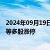 2024年09月19日快讯 并购重组概念股震荡走强，国中水务等多股涨停