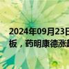 2024年09月23日快讯 CRO概念股集体走强，双成药业7连板，药明康德涨超6%