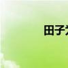 田子为相文言文翻译及注释