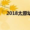 2018太原幼儿师范学校招生计划及简章