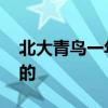 北大青鸟一年多少学费 具体收费标准是怎样的