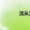 沈从文简介及作品内容介绍