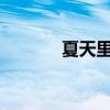 夏天里的成长主要内容及原文