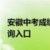 安徽中考成绩什么时候可以出来2021 成绩查询入口