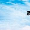 调查报告作文300字