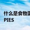 什么是食物蛋白诱发的小肠结肠炎综合征或 FPIES