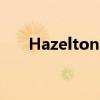 Hazelton的加入完善了执行领导团队