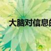 大脑对信息的电编码是否调整亚细胞结构