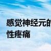 感觉神经元的紊乱可能会将短暂的疼痛变成慢性疼痛