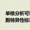 单核分析可识别骨骼肌老化 虚弱和衰老的细胞特异性标志物