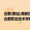 合肥(新站)高新技术产教联合体四大产教联盟成立推进会在合肥职业技术学院召开